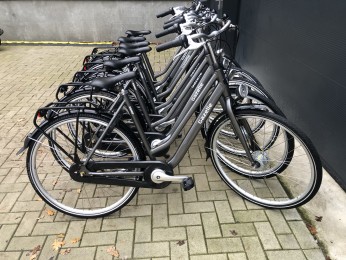 Gazelle esprit T7 damesfiets/meidenfiets (54cm)